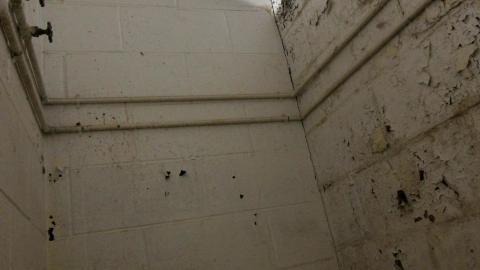 ACTIVLEY Being Proven Wrong - IMG_0958.JPG