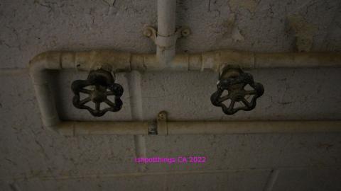 ACTIVLEY Being Proven Wrong - IMG_0959.JPG