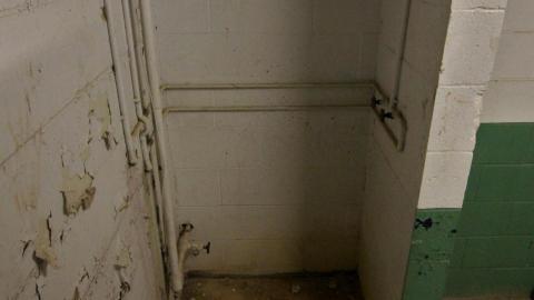 ACTIVLEY Being Proven Wrong - IMG_0960.JPG