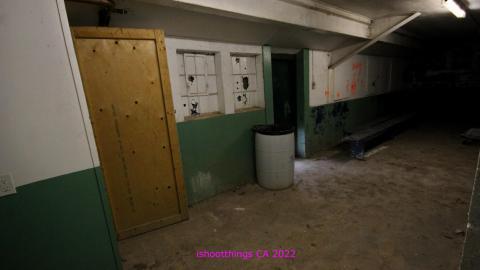 ACTIVLEY Being Proven Wrong - IMG_0961.JPG