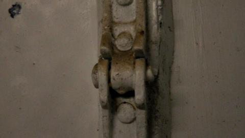 ACTIVLEY Being Proven Wrong - IMG_0965.JPG