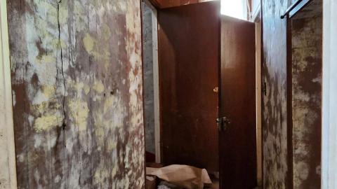 Basement Bikes - 019.jpg