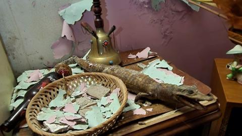 Basement Bikes - 029.jpg