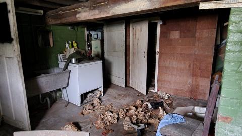 Basement Bikes - 032.jpg