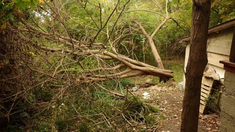 Basement Bikes - 039.JPG