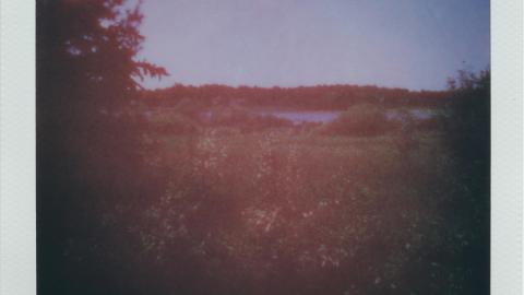 Photo from A Long Road to Freedom