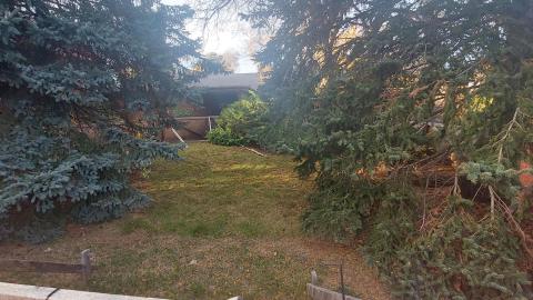 Kids trashing it - 20221030_171923.jpg