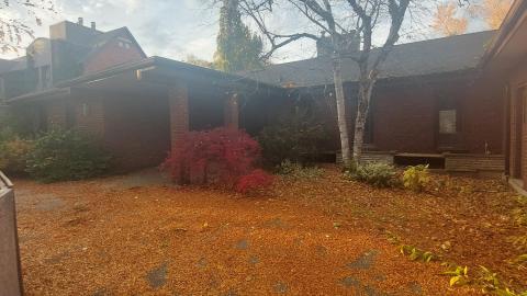 Kids trashing it - 20221030_171852.jpg