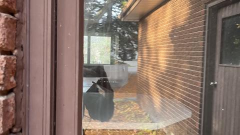 Kids trashing it - IMG_1162.jpg