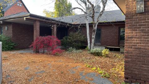 Kids trashing it - IMG_1163.jpg