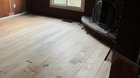 Kids trashing it - IMG_1169.jpg