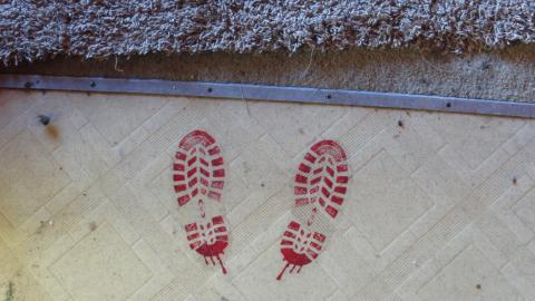 Discovery Visit 2022 - 004 - IMG_5735.JPG