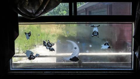 Discovery Visit 2022 - 007 - IMG_5750-3x.jpg