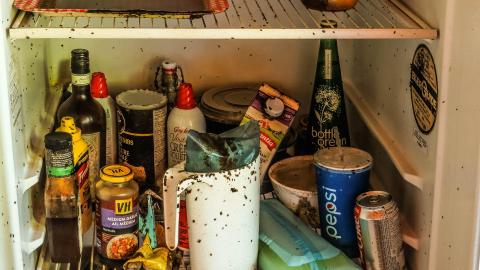 Discovery Visit 2022 - 010 - IMG_5759-3.jpg