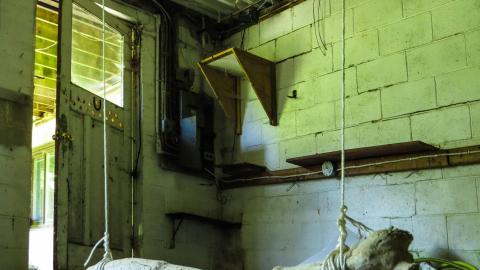 Discovery Visit 2022 - 011 - IMG_5713-3.jpg