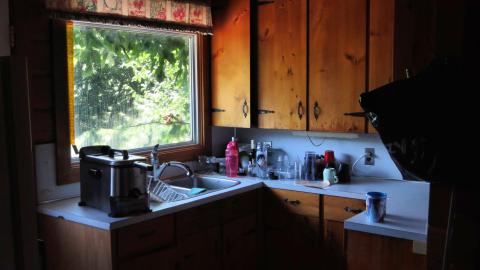 Skeleton in Her Closet photo 4