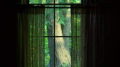 Sulphur Spring Fountain - DSC_8855.JPG