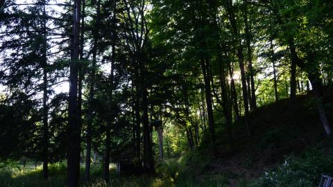 Sulphur Spring Fountain - DSC_8829.JPG