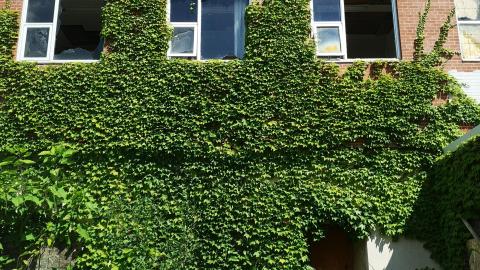 July '22 (Asbestos Removal?) - IMG_20220730_110708.jpg