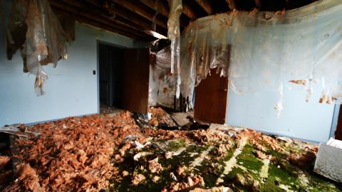 Nearing The End - May / September 2016 - DSC_0073.jpg