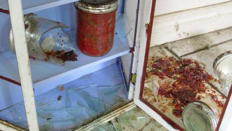 Discovery Visit, 2022 - 012.jpg