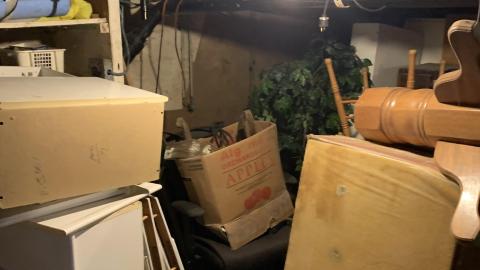 Photo from still here with power