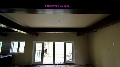 Photo from Totally M-T Interspersed With Xtreme Clutter - AUG 2022