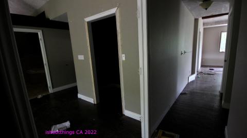 Totally M-T Interspersed With Xtreme Clutter - AUG 2022 - IMG_8832.JPG