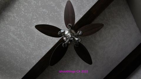 Totally M-T Interspersed With Xtreme Clutter - AUG 2022 - IMG_8844.JPG