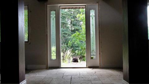 Totally M-T Interspersed With Xtreme Clutter - AUG 2022 - IMG_8852.JPG