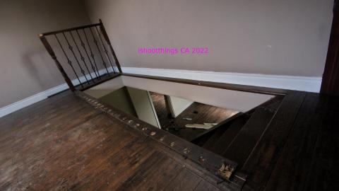 Totally M-T Interspersed With Xtreme Clutter - AUG 2022 - IMG_8862.JPG