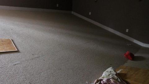 Totally M-T Interspersed With Xtreme Clutter - AUG 2022 - IMG_8866.JPG