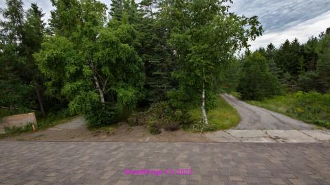 Totally M-T Interspersed With Xtreme Clutter - AUG 2022 - IMG_8869.JPG