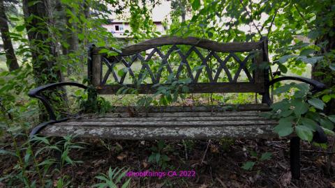 Totally M-T Interspersed With Xtreme Clutter - AUG 2022 - IMG_8911.JPG