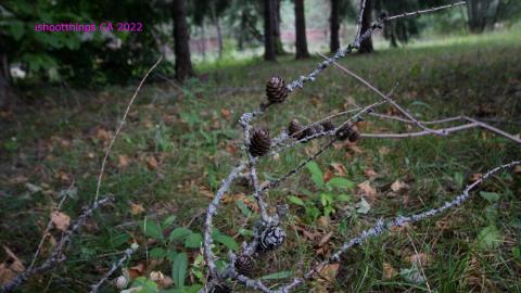 Totally M-T Interspersed With Xtreme Clutter - AUG 2022 - IMG_8913.JPG