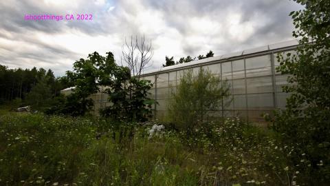 Totally M-T Interspersed With Xtreme Clutter - AUG 2022 - IMG_8921.JPG