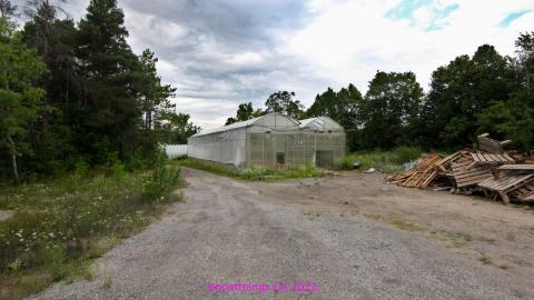 Totally M-T Interspersed With Xtreme Clutter - AUG 2022 - IMG_8924.JPG