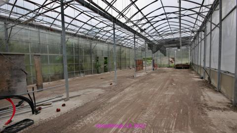 Totally M-T Interspersed With Xtreme Clutter - AUG 2022 - IMG_8923.JPG