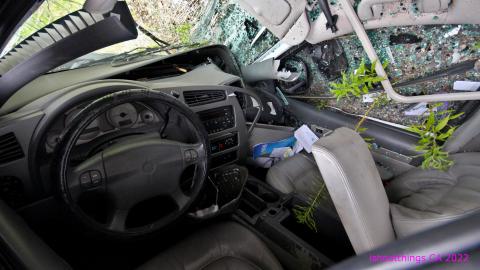 Totally M-T Interspersed With Xtreme Clutter - AUG 2022 - IMG_8928.JPG