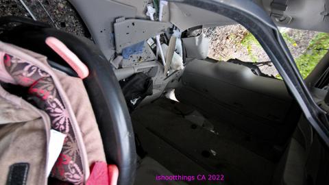 Totally M-T Interspersed With Xtreme Clutter - AUG 2022 - IMG_8929.JPG