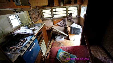 Totally M-T Interspersed With Xtreme Clutter - AUG 2022 - IMG_8934.JPG