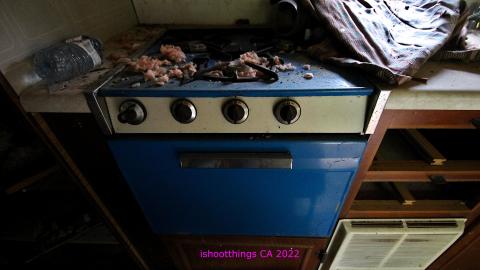 Totally M-T Interspersed With Xtreme Clutter - AUG 2022 - IMG_8935.JPG