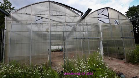 Totally M-T Interspersed With Xtreme Clutter - AUG 2022 - IMG_8938.JPG