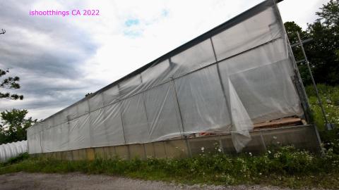 Totally M-T Interspersed With Xtreme Clutter - AUG 2022 - IMG_8939.JPG