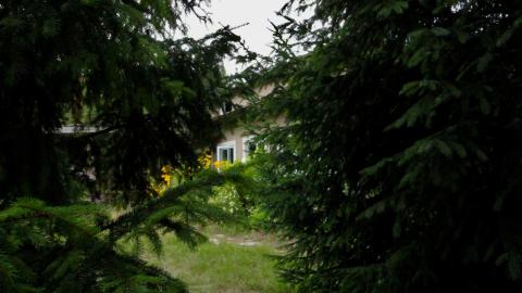 Totally M-T Interspersed With Xtreme Clutter - AUG 2022 - IMG_8942.JPG