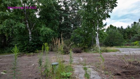 Totally M-T Interspersed With Xtreme Clutter - AUG 2022 - IMG_8946.JPG