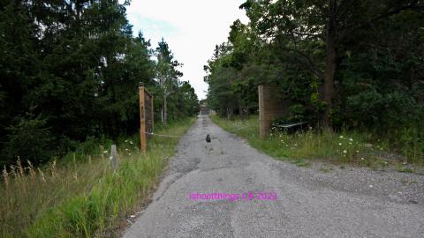 Totally M-T Interspersed With Xtreme Clutter - AUG 2022 - IMG_8954.JPG