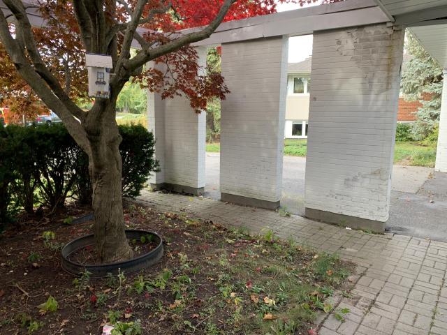 Moved Out or About to Move In? - 08F637B9-39AF-4DF1-A0C0-34585D3D698E.jpeg