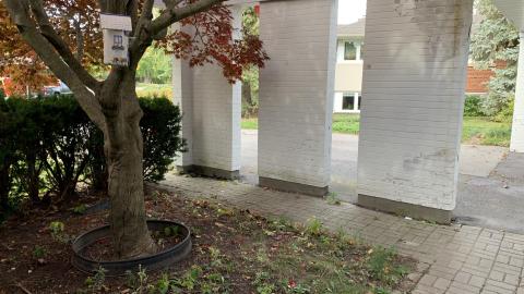 Moved Out or About to Move In? - 08F637B9-39AF-4DF1-A0C0-34585D3D698E.jpeg