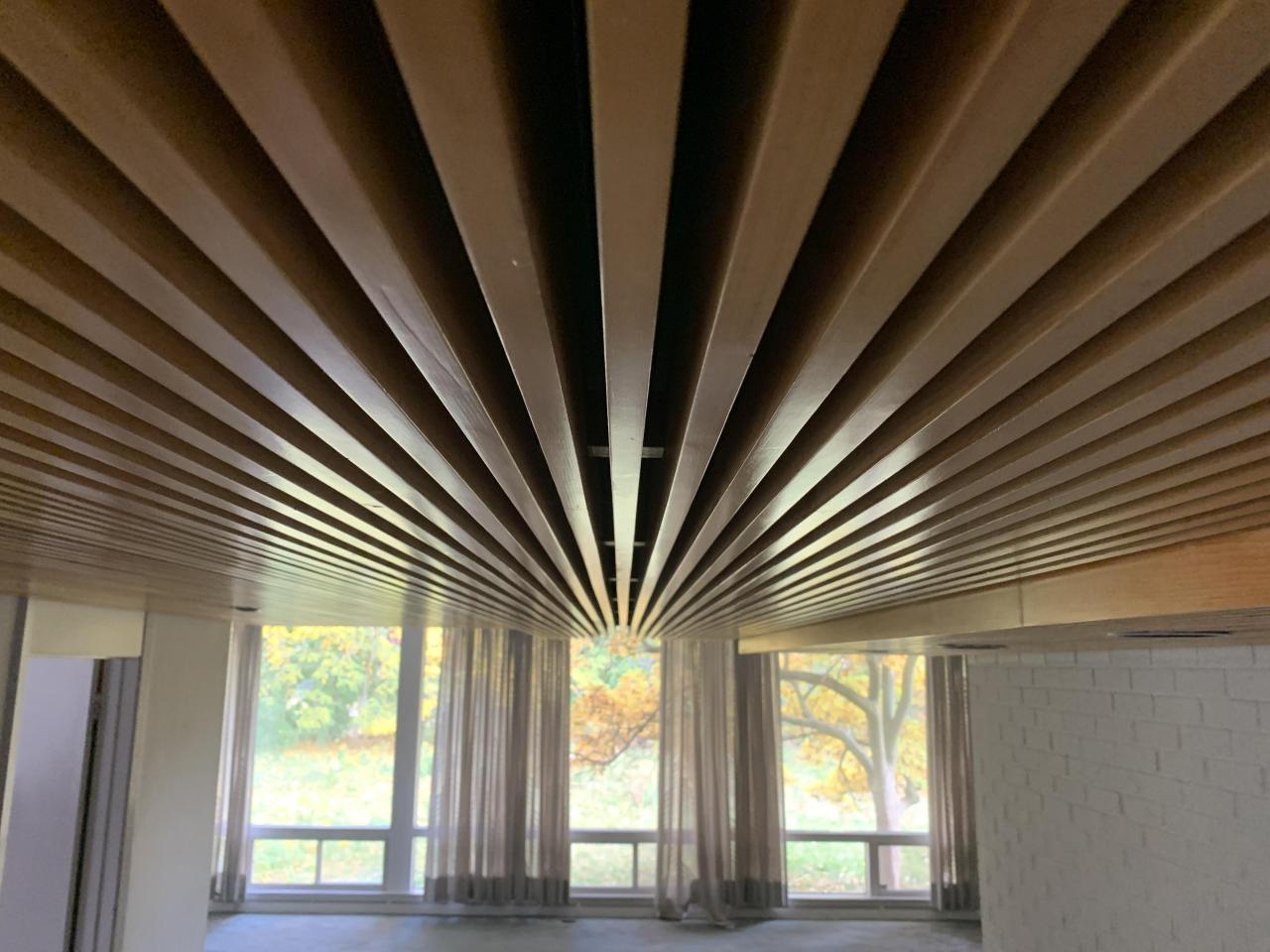 Moved Out or About to Move In? - E85A4551-6D44-412A-8C81-F2D14677C1D7.jpeg